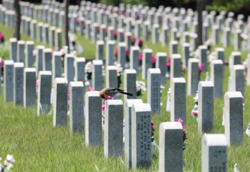 6.25참전 소년소녀병 추모비조차 없어…관련법은 국회서 '표류'