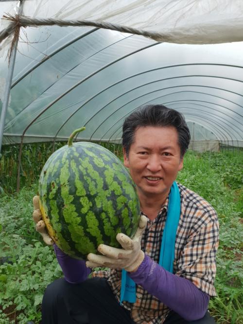 "난 수박 노노"…정청래, 왕수박 사진 올린 이유는?