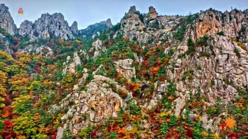 금강산, 유네스코 세계유산 등재 유력